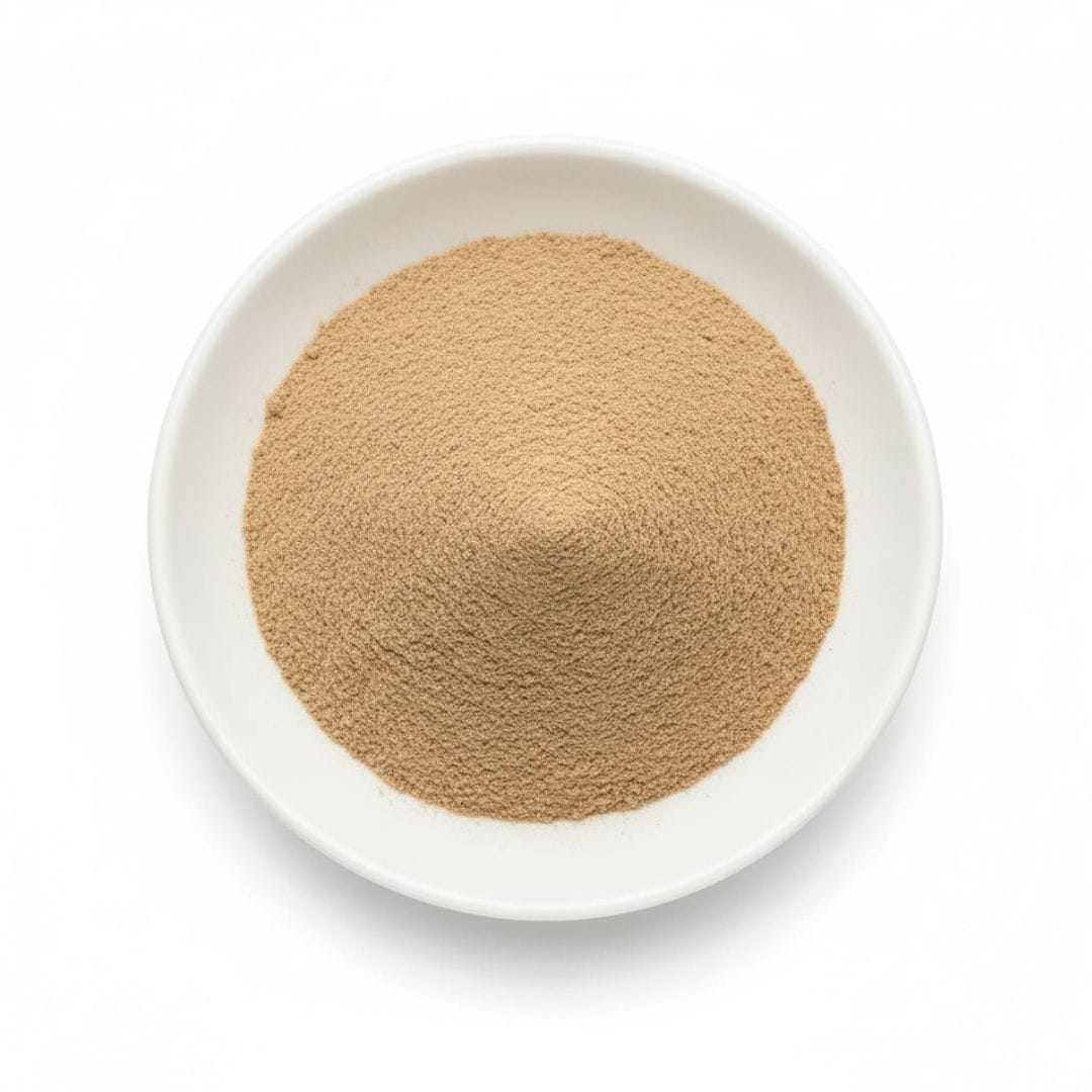 Ginger Root Extract Powder