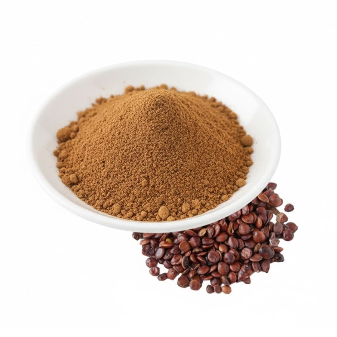 Jujube Extract Powder