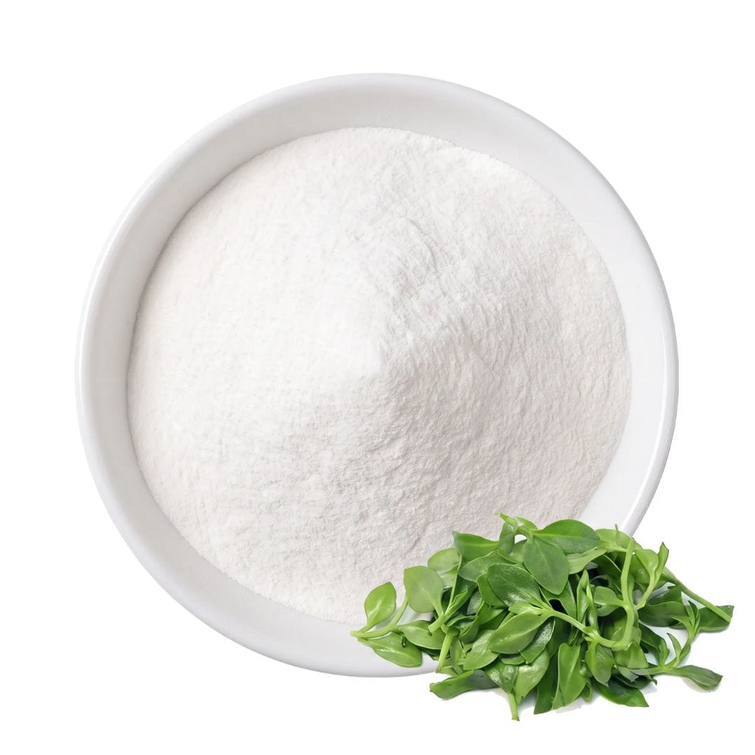 Andrographis Paniculata Extract Powder