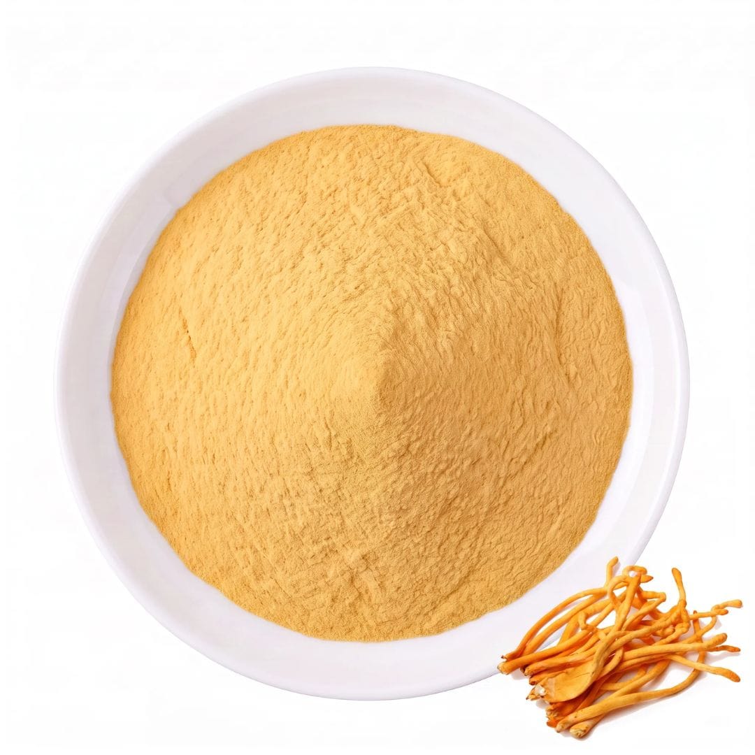 Cordyceps Militaris Extract