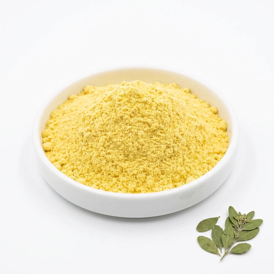 Epimedium Extract Powder