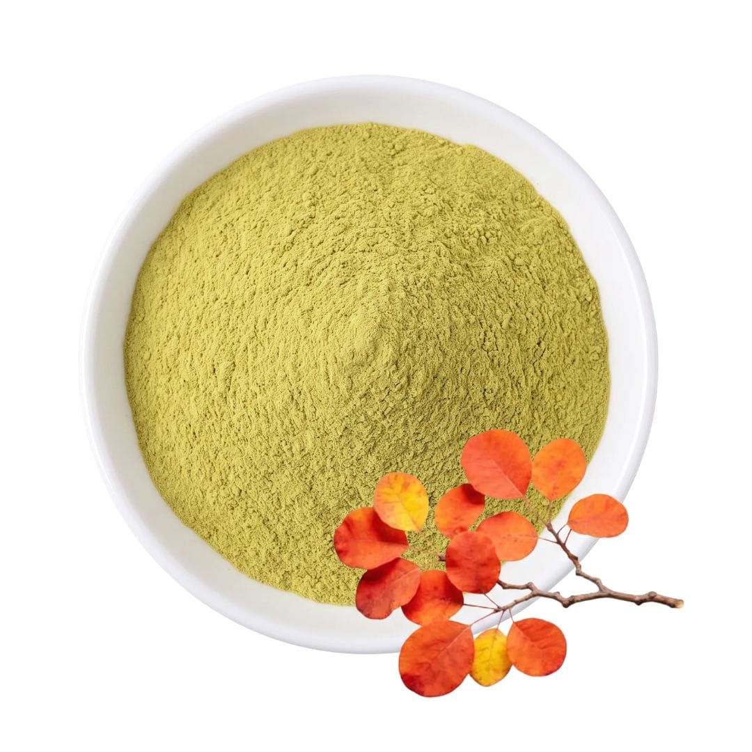 Fisetin Powder
