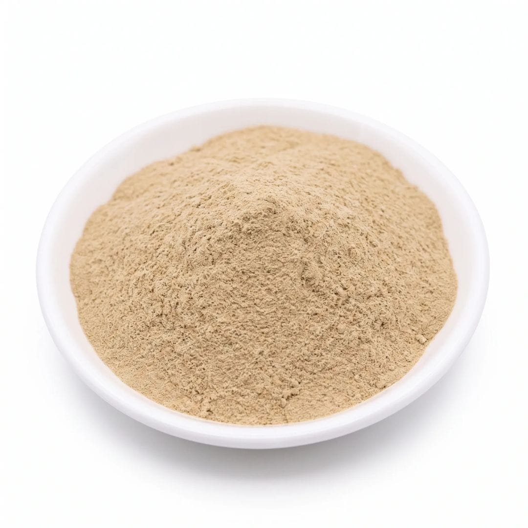 Ajuga Turkesterone Powder